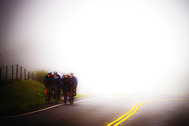 Bicyclists on a foggy early morning ride in Marin County, California. The focus on this image is soft.