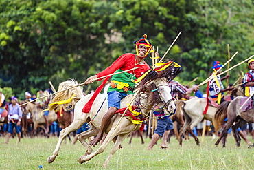 Man riding horse with spear and competing at Pasola Festival, Sumba island, Indonesia