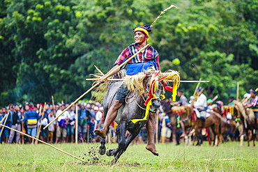 Man with spear participating in Pasola Festival, Sumba island, Indonesia