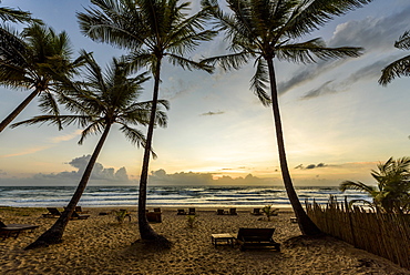 Beautiful dawn on tropical beach with palm trees in Peninsula de Marau, Barra Grande, Bahia state, Brazil