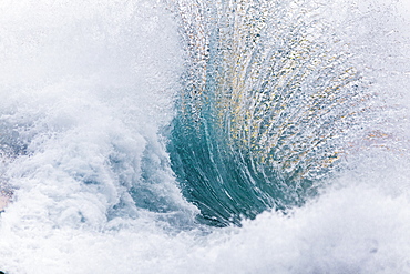 A foamy ocean wave crashing in the early morning dawn light.