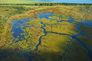 Aerial photograph of the Pitt Polder Ecological Reserve, British Columbia, Canada.