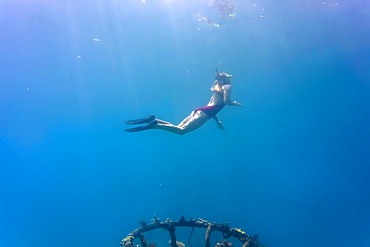 Side view of woman in swimsuit snorkeling underwater in Indian Ocean, Permuteran, Bali, Indonesia