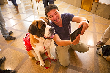 Asian tourist taking selfie with Saint Bernard dog, Zermatt, Valais, Switzerland