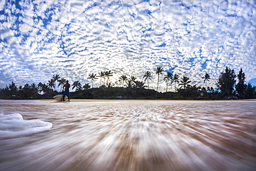 Surfer and palm trees on beach, Oahu, Hawaii, USA