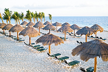 Tropical beach with palm trees, thatched umbrellas and lounge chairs, Cancun, Mexico