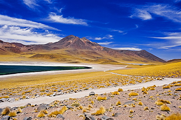 Laguna Miscanti in Atacama Desert, Chile