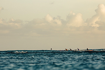 Men paddling in sea, Kaimana Beach, Honolulu, Hawaii, USA