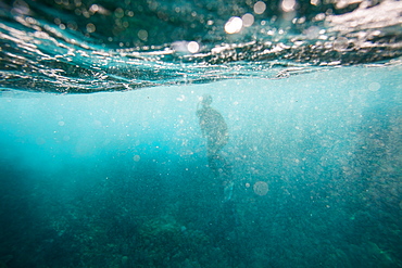 The outline of a snorkeler is seen through bubbles and turbulent currents underwater as waves break onto rocks and reef off Utila Island, Honduras.