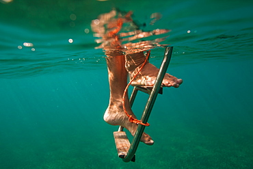 A man climbs down a ladder underwater off a boat near Utila Island, Honduras.