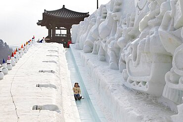 An Asian woman is having fun sledding down a steep ice slope. Hwacheon Sancheoneo Ice Festival. Gangwon-do, South Korea.  The Hwacheon Sancheoneo Ice Festival is a tradition for Korean people. Every year in January crowds gather at the frozen river to celebrate the cold and snow of winter. Main attraction is ice fishing. Young and old wait patiently over a small hole in the ice for a trout to bite. In tents they can let the fish grilled after which they are eaten. Among other activities are sledding and ice skating. The nearby Pyeongchang region will host the Winter Olympics in February 2018.