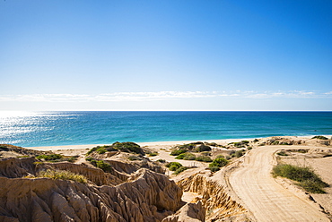 View of road on beach and horizon over sea, Cabo Pulmo, Baja California Sur, Mexico