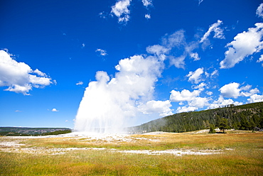 Scenic view of Old Faithful geyser, Yellowstone National Park, Wyoming, USA