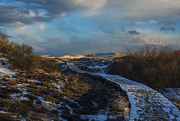 Scenic view of boardwalk between sand dunes in winter, Plum Island, Parker River Wildlife Refuge, Newburyport, Massachusetts, USA