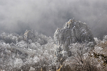 Scenic view of forest and rock formation in winter, Cheile Rametului, Alba County, Romania