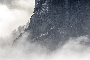 Beautiful nature photograph with view of cliff in winter with fog, Cheile Rametului, Alba County, Romania