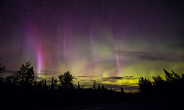 View of aurora borealis in sky at night above silhouettes of tree