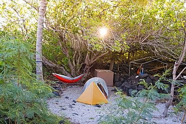 Camping at Halape Beach, a very remote beach 11.3 miles down the Puna Coast Trail in Hawaii Volcanoes National Park on the Big Island. Halape is a turtle nesting sanctuary that is federally protected and very difficult to reach.