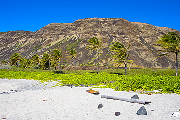 Incredible views from the hard to reach beach at Halape along the Puna Coast Trail in Hawaii Volcanoes National Park on the Big Island. This beach is a turtle nesting sanctuary protected federally by the United States.