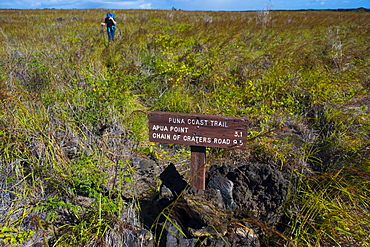 Puna Coast, Apua Point trail sign along the Puna Coast Trail in Hawaii Volcanoes National Park, Hawaii Islands, USA