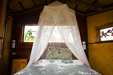 Honeymoon suite with a king bed at a treehouse in the rainforest near Hilo and Volcano on the Big Island of Hawaii