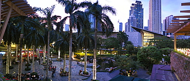 Palm trees and people in Greenbelt Park in city of Makati, Philippines