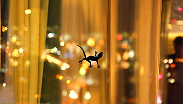 Silhouette of lizard on window in hotel room, Hong Kong, China