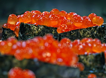 Salmon roe sushi in roasted nori seaweed in Japanese restaurant, Tokyo, Japan