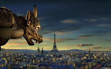 Gargoyle of Notre Dame in front of Paris skyline with Eiffel Tower at sunset, Paris, Ile-de-France, France