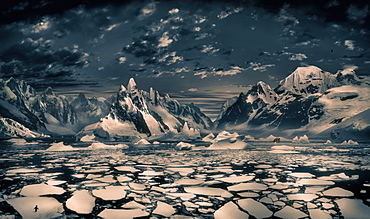 Winter landscape with penguin on ice floe in front of massive icebergs at dusk, Antarctic Peninsula, Antarctica