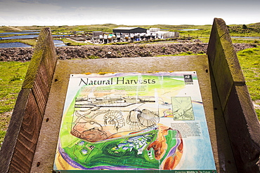 An Oyster farm on South Walney Island, Cumbria, UK.