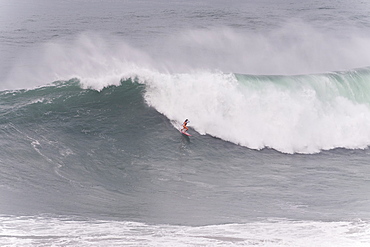 Surfer dropping in massive braking wave, Nazare, Leiria, Portugal