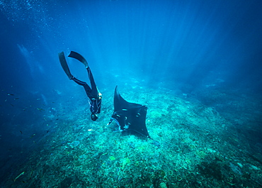 Diving with mantas, Nusapenida, Bali, Indonesia