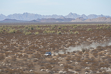 Jeep driving along path in barren desert landscape, Sonora, Mexico