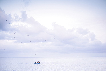 Pristine seascape with lone fishing boat returning to port, Â Camogli, Â Liguria, Italy