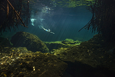 Distant view of single man freediving in?cenote in Riviera Maya, Quintana Roo, Mexico