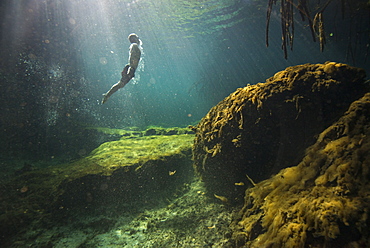 Side view of single man?freediving?in?cenote?in Riviera Maya,?Quintana?Roo, Mexico