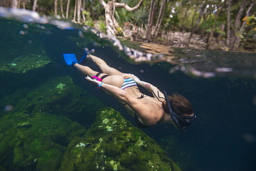 Side view shot of woman in bikini snorkeling,?Cenote?el Eden, Riviera Maya,?Playa?del?Carmen, Quintana Roo, Mexico