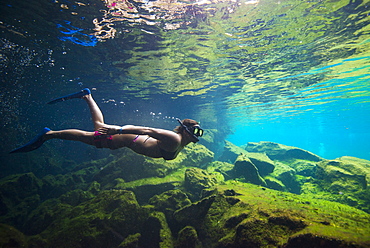 Side?view shot of woman in bikini snorkeling,?Cenote?el Eden, Riviera Maya,?Playa?del?Carmen,?Quintana?Roo,?Mexico