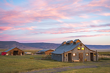 An old barn set in a grassy field under a pink and blue sunset sky, Summer Lake, Oregon, USA