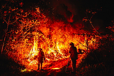 View of two firefighters during forest fire, Guanaba, Queensland, Australia