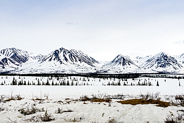 Beautiful winter scenery with view of snowcappedÂ mountains in Denali National Park, Alaska, USA