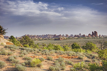 Scenic landscape of rock formations in desert at Needles District in Canyonlands National Park, Utah, USA