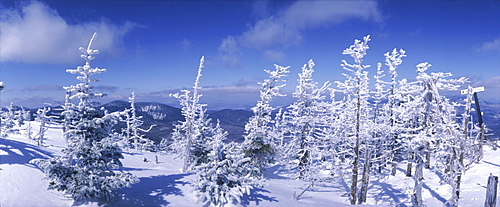 Snowy mountain and snow covered trees atop Sugarloaf Mt., Maine.