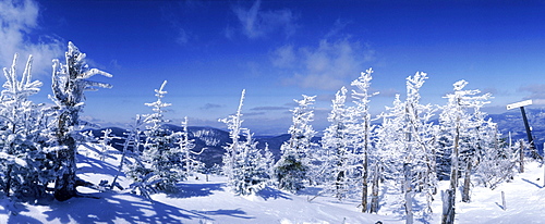 Snowy mountain and snow covered trees atop Sugarloaf Mt., Maine.