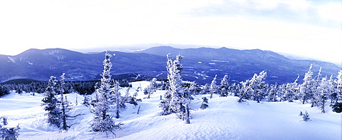 Snowy mountain and snow covered trees atop Sugarloaf Mt., Maine.