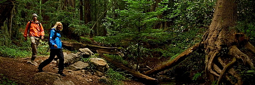 Couple hiking in the redwood forests of Big Sur. Photo by Thomas Kranzle, United States of America