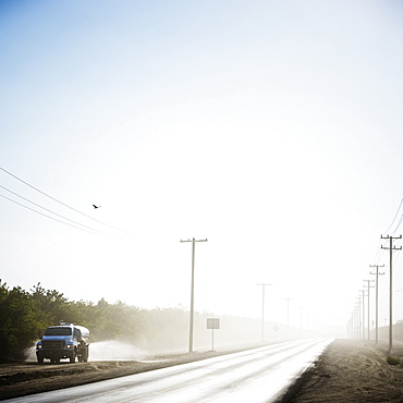 A back road through a orchard with a watering truck in the Central Valley, California.