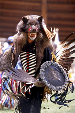 Native in ornate traditional regalia resembling a wolf, dances during annual powwow held in Kamloops, British Columbia.