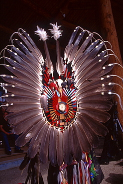 The feather bustle, a key element of men's traditional powwow regalia uses eagle feathers, a symbol of pride and honor among natives. The number of feathers are viewed as tokens of experience and wisdom associated with the one bearing them.